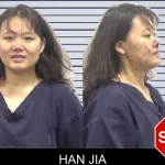 Han Jia mugshot