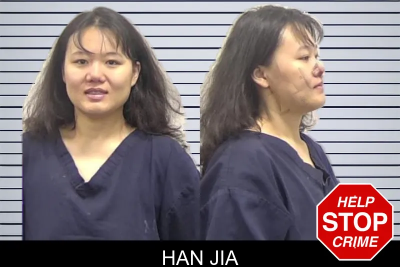 Han Jia mugshot