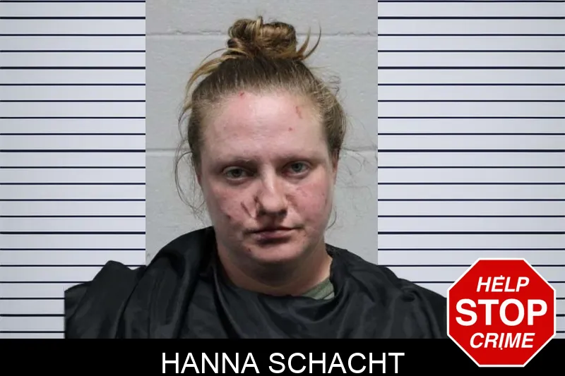 Hanna Schacht mugshot – Habersham County , Georgia Hanna Schacht mugshot