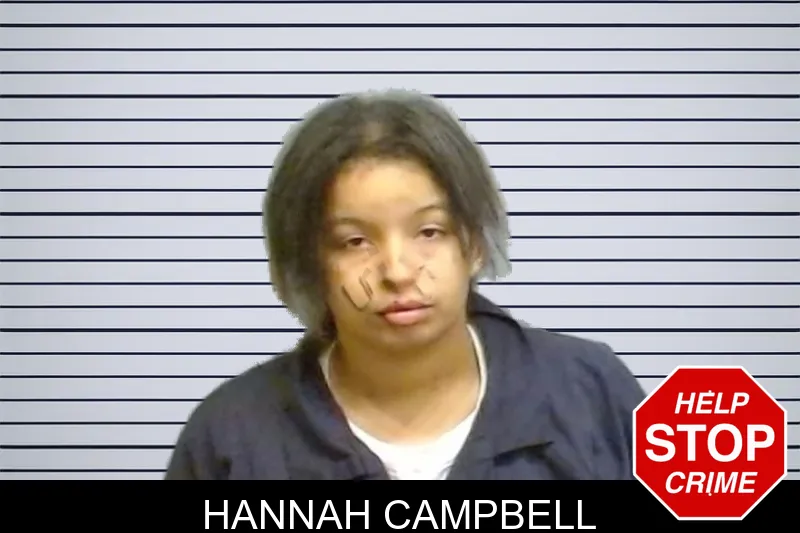 Hannah Campbell mugshot – Fulton County , Georgia Hannah Campbell mugshot
