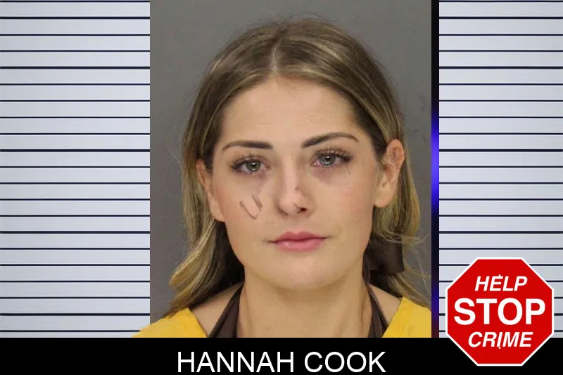 Hannah Cook mugshot