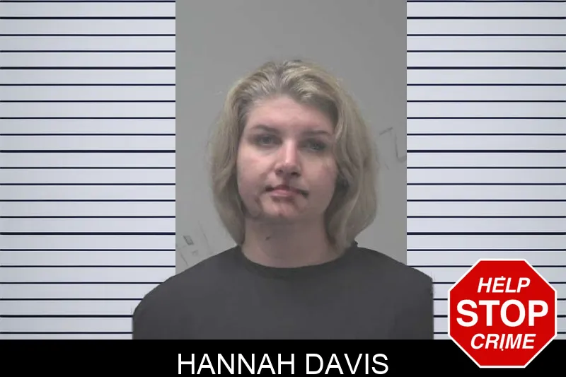 Hannah Davis mugshot