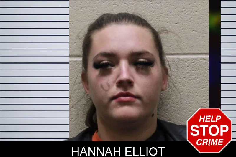 Hannah Elliot mugshot – Haralson County , Georgia Hannah Elliot mugshot