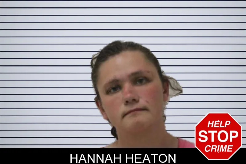 Hannah Heaton mugshot – Jones County , Georgia Hannah Heaton mugshot