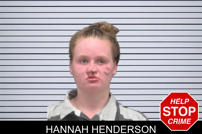 Hannah Henderson mugshot – Dougherty County , Georgia Hannah Henderson mugshot