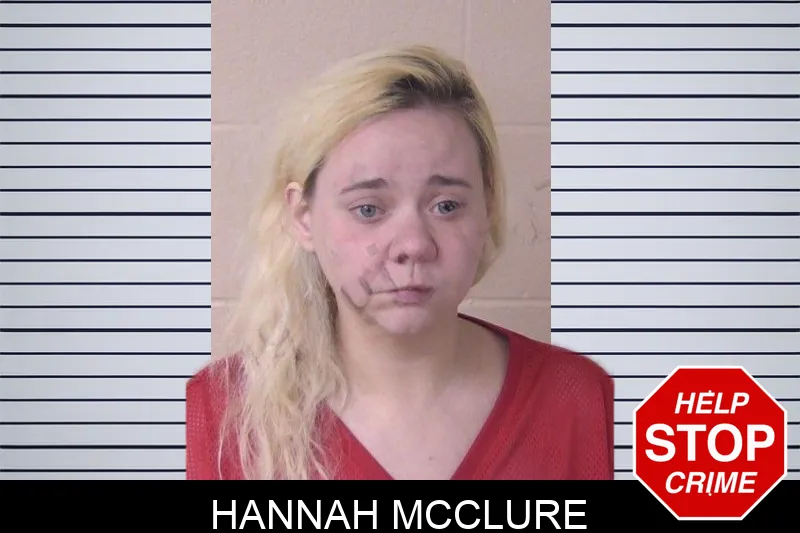 Hannah McClure mugshot