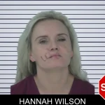 Hannah Wilson mugshot – Fayette County , Georgia Hannah Wilson mugshot