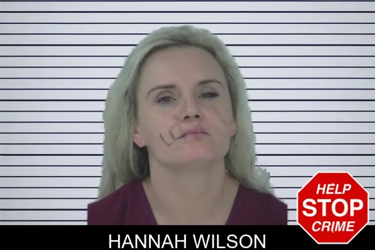 Hannah Wilson mugshot – Fayette County , Georgia Hannah Wilson