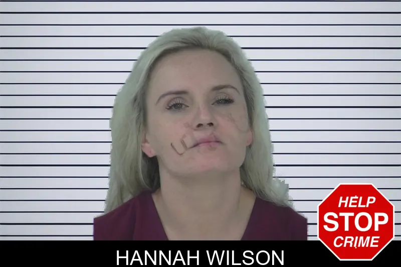 Hannah Wilson mugshot – Fayette County , Georgia Hannah Wilson mugshot