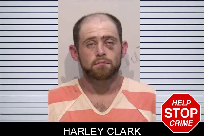 Harley Clark mugshot