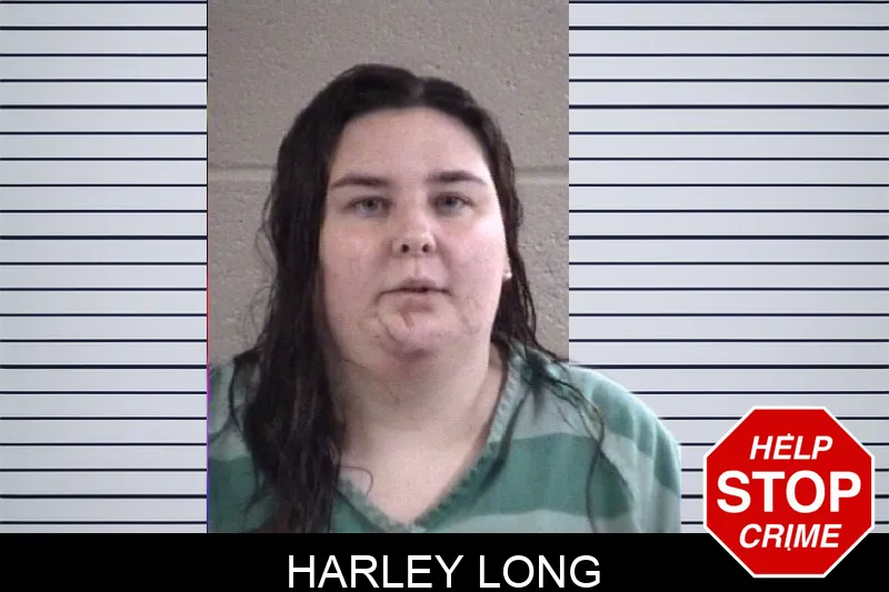 Harley Long mugshot