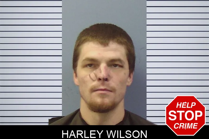 Harley Wilson mugshot