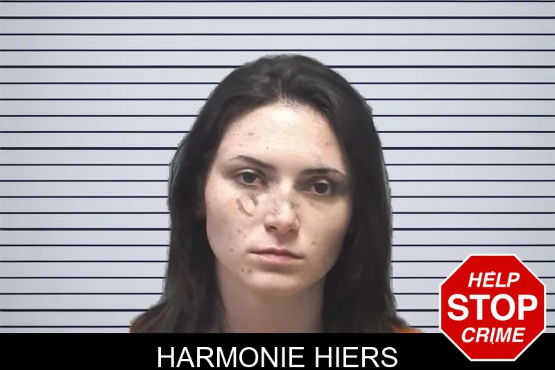Harmonie Hiers mugshot – Cherokee County , Georgia Harmonie Hiers mugshot