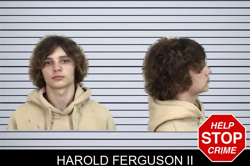 Harold Ferguson II mugshot