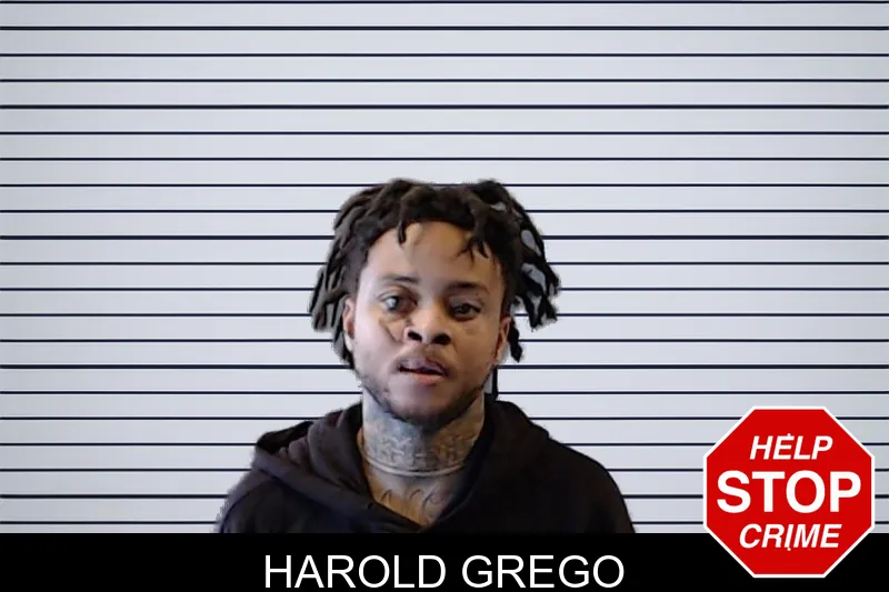 Harold Grego mugshot