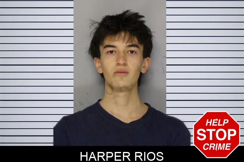 Harper Rios mugshot