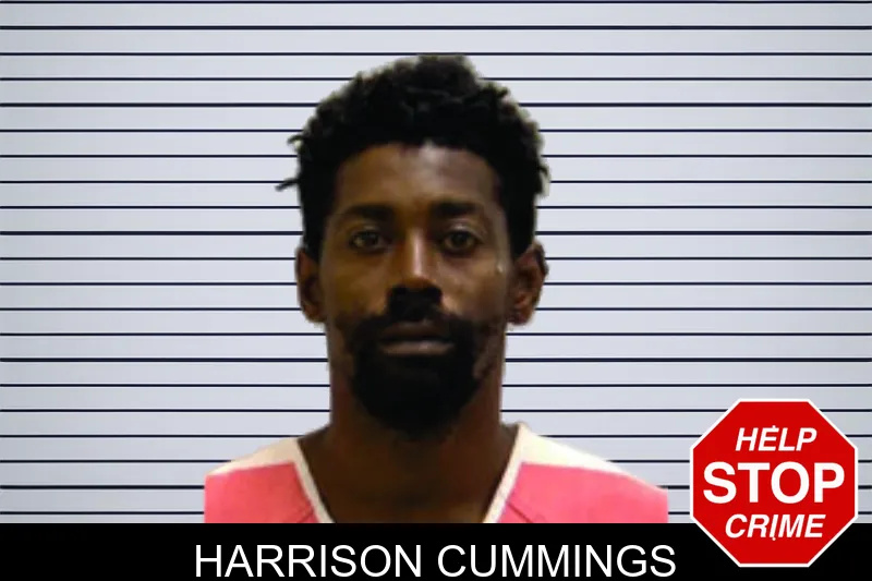 Harrison Cummings mugshot – Bartow County , Georgia Harrison Cummings mugshot