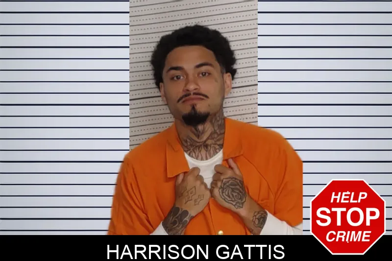 Harrison Gattis mugshot