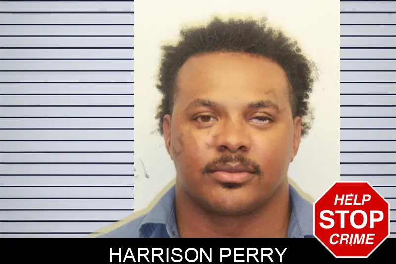 Harrison Perry mugshot – Chatham County , Georgia Harrison Perry mugshot