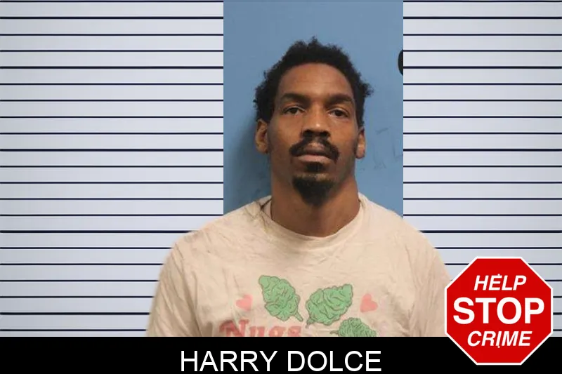 Harry Dolce mugshot