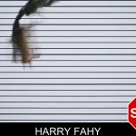 Harry Fahy mugshot