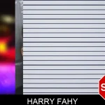 Harry Fahy mugshot