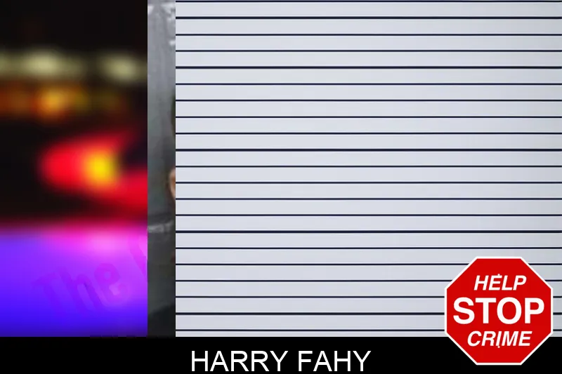 Harry Fahy mugshot