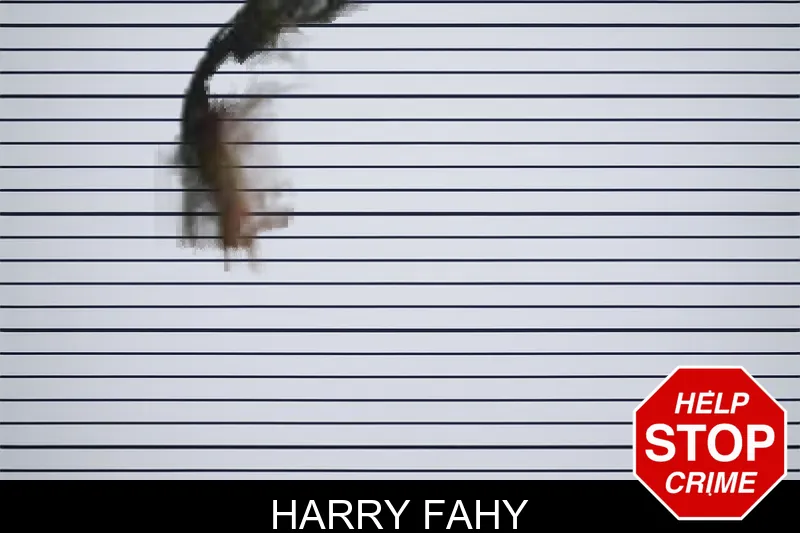 Harry Fahy mugshot