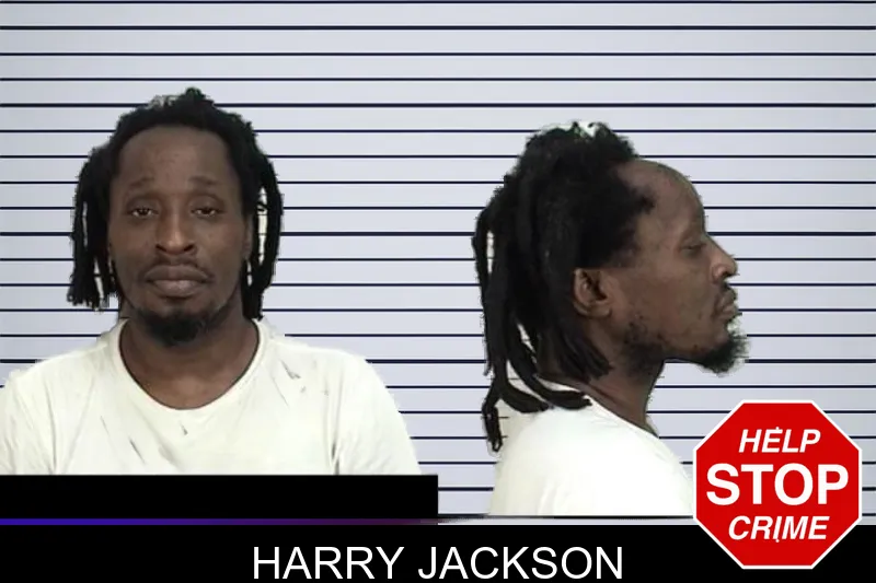 Harry Jackson mugshot – Camden County , Georgia Harry Jackson mugshot