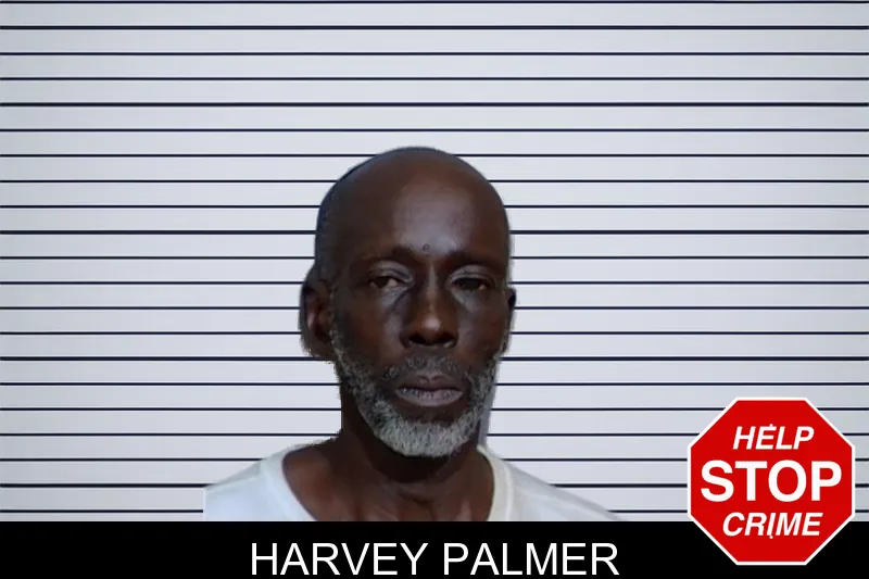 Harvey Palmer mugshot