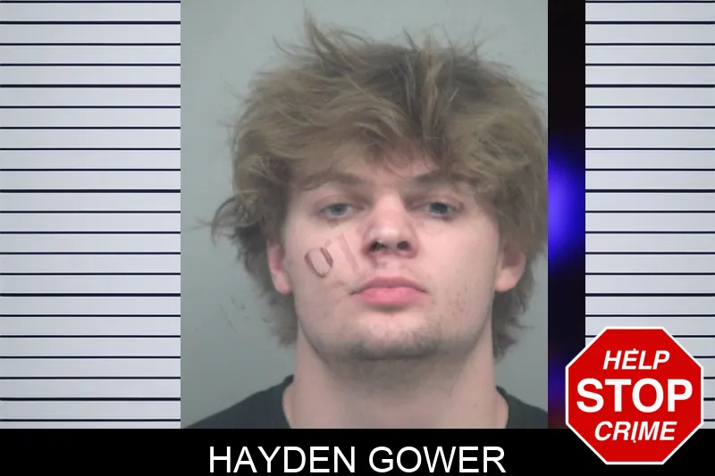 Hayden Gower mugshot – Gwinnett County , Georgia Hayden Gower mugshot