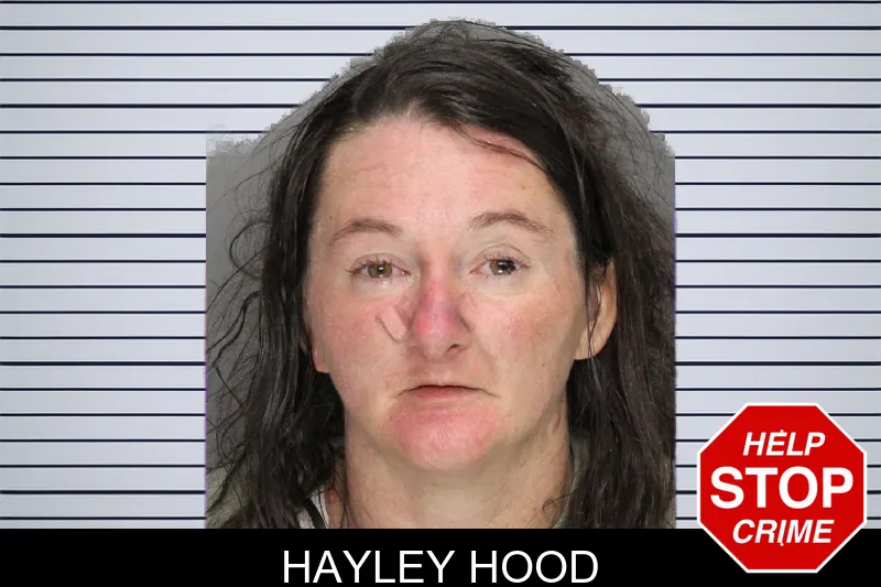 Hayley Hood mugshot – Cobb County , Georgia Hayley Hood mugshot