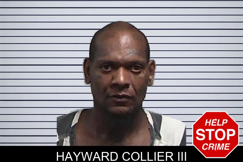 Hayward Collier III mugshot