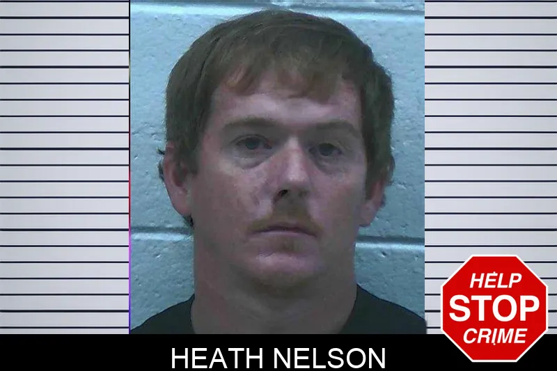 Heath Nelson mugshot
