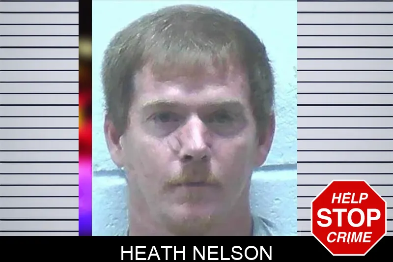 Heath Nelson mugshot