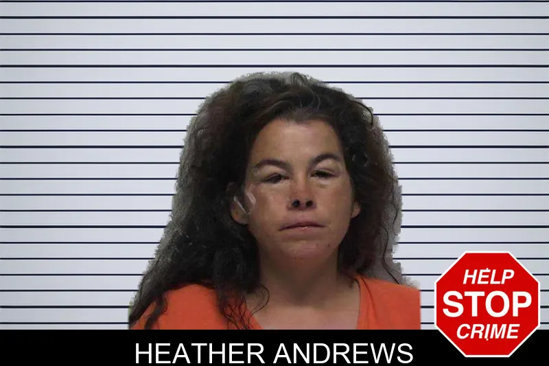 Heather Andrews mugshot