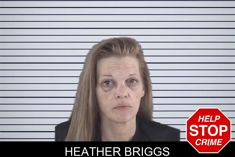 Heather Briggs mugshot