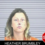 Heather Brumbley mugshot