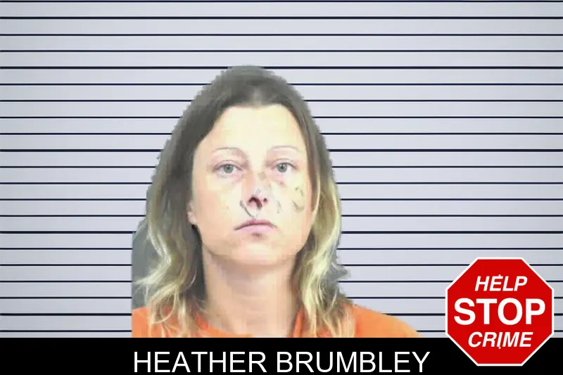 Heather Brumbley mugshot
