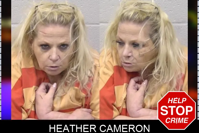 Heather Cameron mugshot