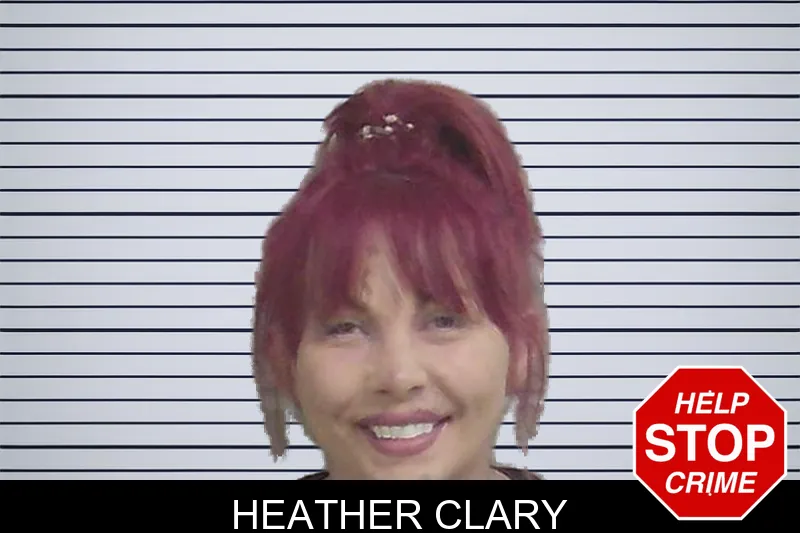 Heather Clary mugshot