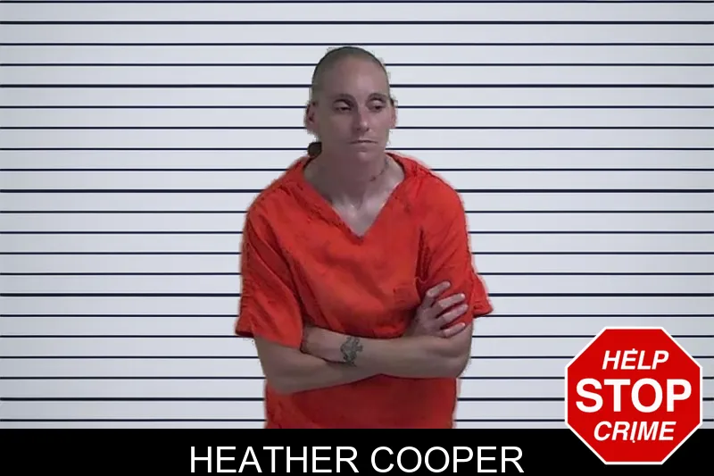 Heather Cooper mugshot