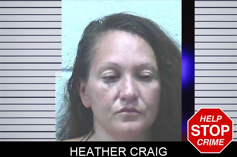 Heather Craig mugshot