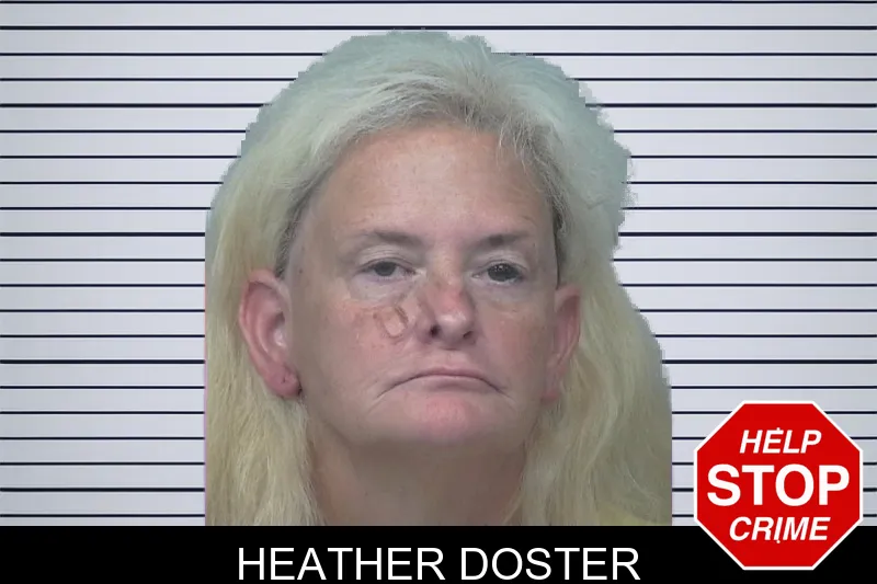 Heather Doster mugshot