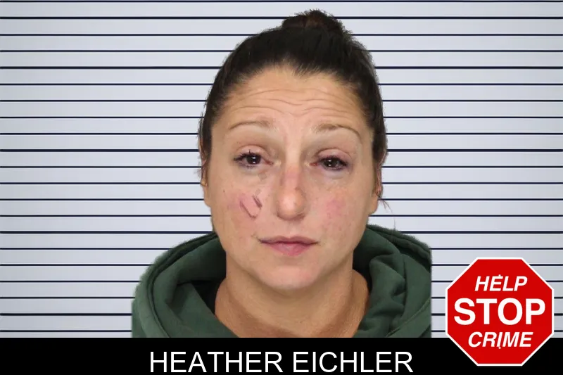 Heather Eichler mugshot