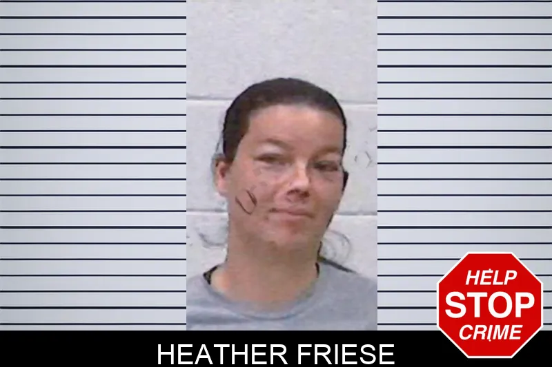 Heather Friese mugshot