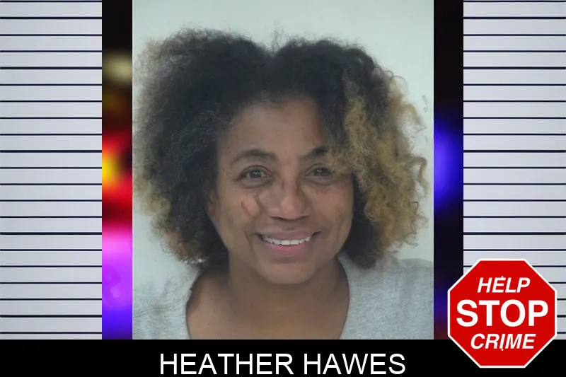 Heather Hawes mugshot