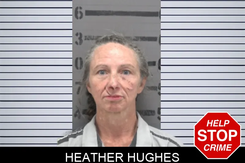 Heather Hughes mugshot