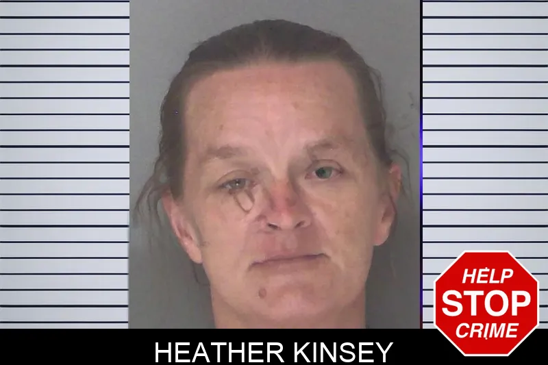 Heather Kinsey mugshot – Douglas County , Georgia Heather Kinsey mugshot