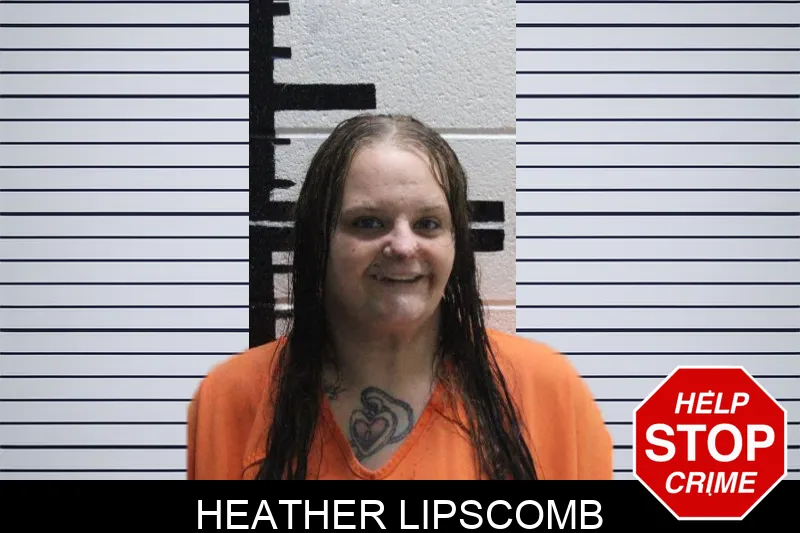 Heather Lipscomb mugshot